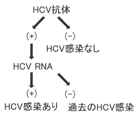 HCVAb.gif
