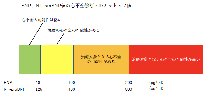 脳性ナトリウム利尿ペプチド Ventricular Natriuretic Peptide Japaneseclass Jp